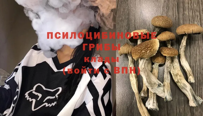 Галлюциногенные грибы Cubensis  Грязи 